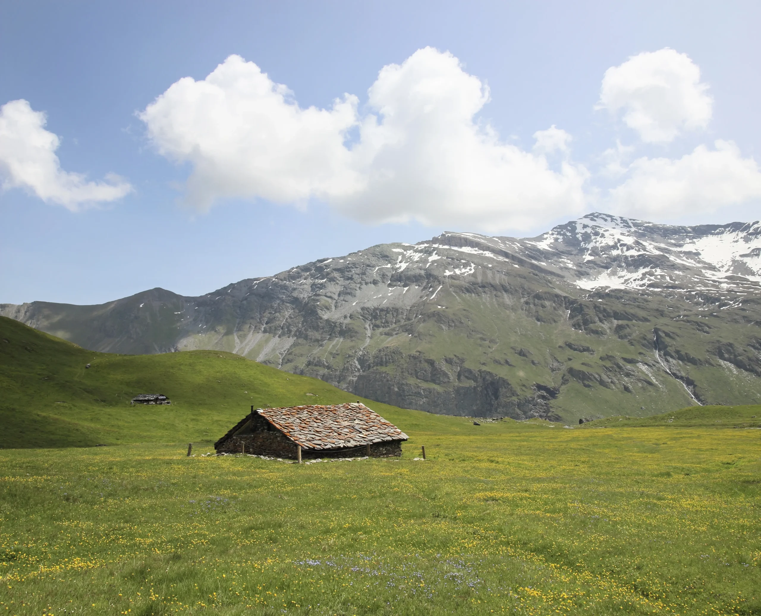 herbage Alpage Torrent